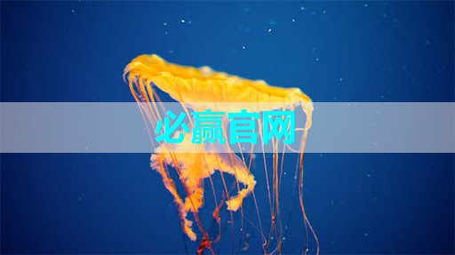 bwin必赢国际官方网站,地平线工具链核心开发者杨志刚:基于征程5芯片的Transformer量化部署实践与经验|自动驾驶新青年讲座 bwin必赢国际官方网站,地平线工具链核心开发者杨志刚:基于征程5芯片的Transformer量化部署实践与经验|自动驾驶新青年讲座